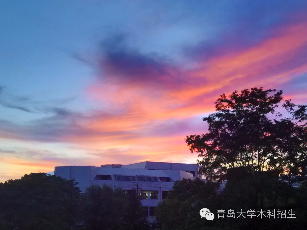 青岛大学——成就你梦想的地方